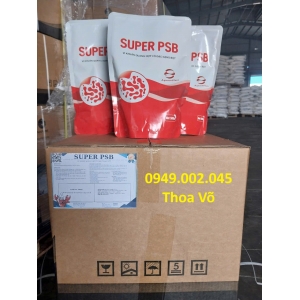 SUPER PSB – Vi khuẩn quang hợp Rhodo xử lý nước ao nuôi thủy sản